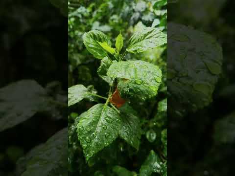 relaxing feeling now every time......