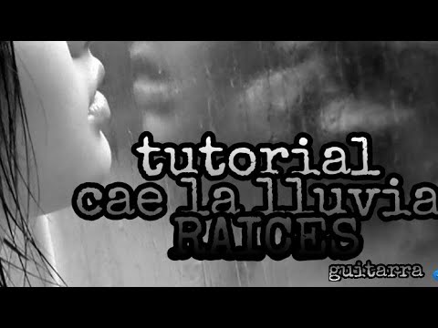 Cae La Lluvia - Raices
