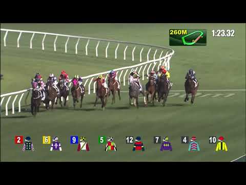 16/3/2022 (505) Universal Go Go - B Shinn