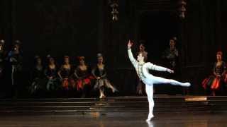 Sergei Polunin, Natalia Somova - Swan Lake (10)