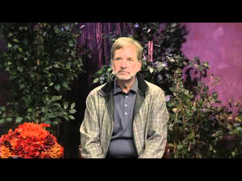 8-8 Adamus - Energy Needs No Force & Living Without Mental Noise