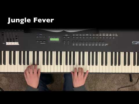 Jungle Fever - The Bean Bag Zoo, Book 2