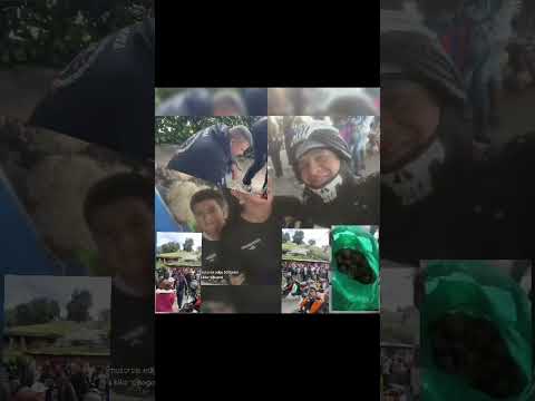 labor social en cachipay cundinamarca