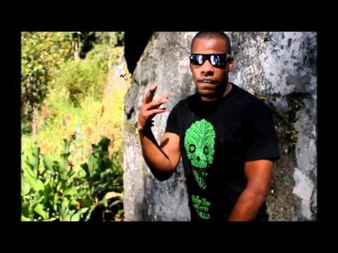 Little Di Lion feat Big Freddy Dey kill for nothing!