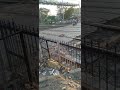 Horrible Train Accident RAJDHANI Express Hits Dog To Death Indian Railways Short