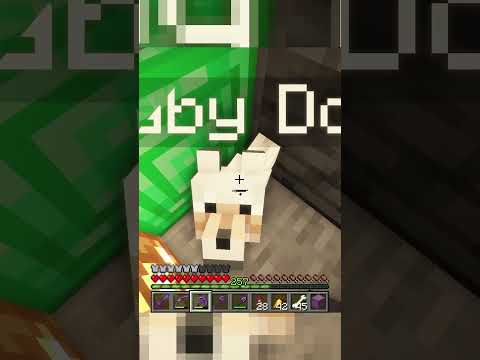 SkyButter - The most SCARED I've ever been in Minecraft (poor baby doug) #minecraft #shorts #minecraftshorts