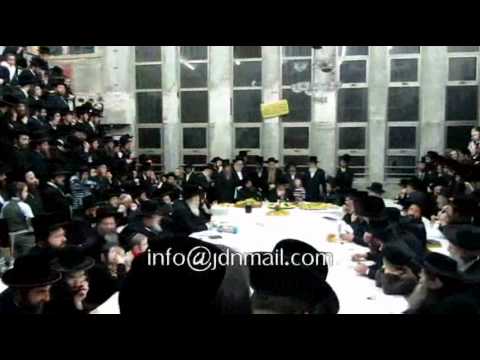 Tu BiShevat 5772 In Lelov Bet Shemesh