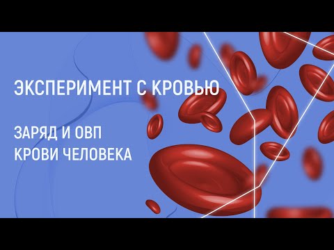 Эксперимент 2. Кровь - Заряд и ОВП