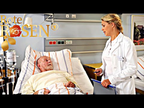 Red Roses 🌹 Episode 1595