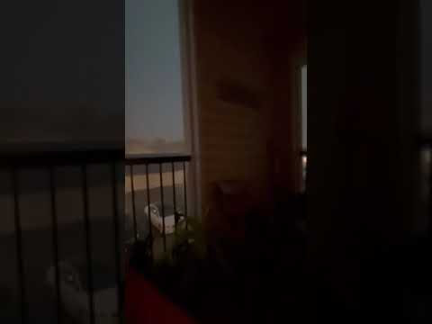 Life by Ca$h Mon€y