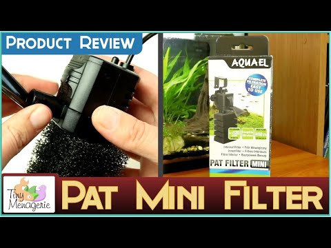 AquaEl Pat Mini Filter Review - The Best for Shrimp and Nano Tanks?