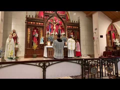 Alleluia - Dominica post Ascensionem (Ps 46:9; Jn 14:18)