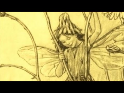 Great Charity Shop Finds No 125 - Brazilian Psychedelic Rock 3