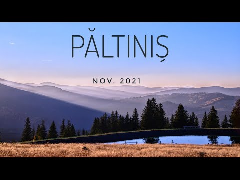 Păltiniș ¦ la înălțime 🏞️