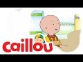 Caillou Caillou S Surprise S04E16 Cartoon For Kids