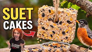 Easy Homemade Suet Cake Recipe for Wild Birds