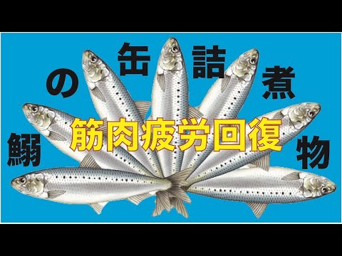 経済・経営学科 第5弾！いわしの缶詰の煮物「スポーツ栄養研究センター」からアスリートのみなさんに向けた、料理レシピを紹介します！