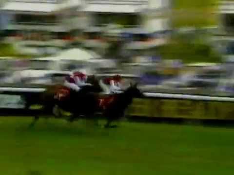1993 - Epsom Oaks - Intrepidity