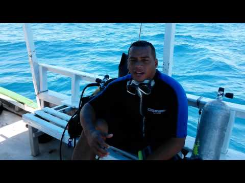 Caju Divers curso de mergulho autônomo.