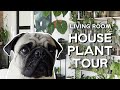 living room / apartment houseplant tour!