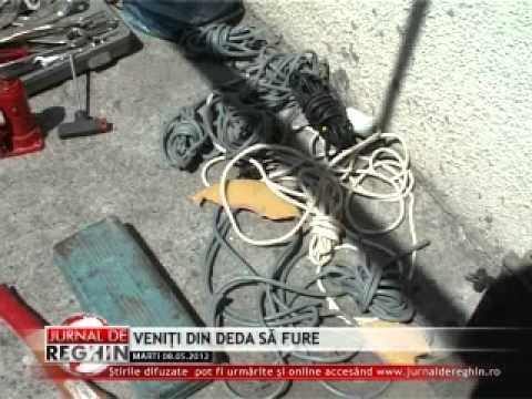 VENIȚI DIN DEDA SĂ FURE