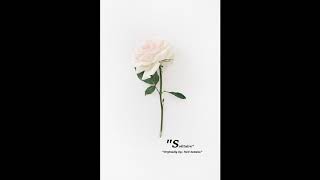 Westlife - Solitaire (Audio Only)