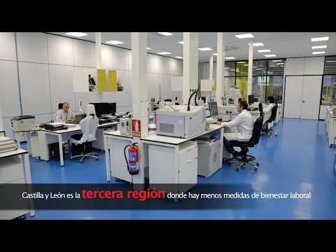 Casi el 45% de los trabajadores de Castilla y León cree que su empresa se preocupa por su bienestar