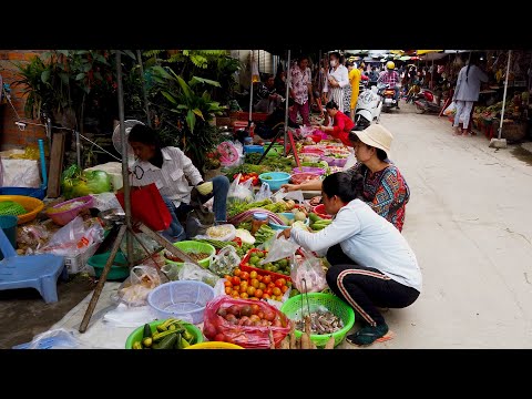 Amazing Phnom Penh Street Food Tour - Daily Life In Our Cambodian Wet Market