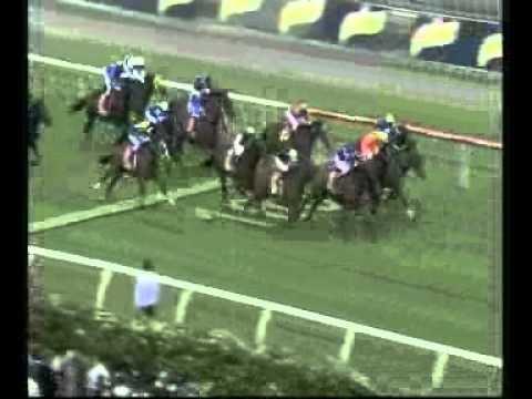 Emirates Stakes 2010  - Melbourne Cup Carnival at Flemington Racecourse