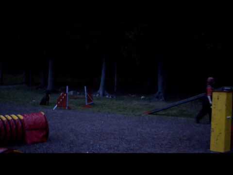 Nitron aksa 27 6 2016