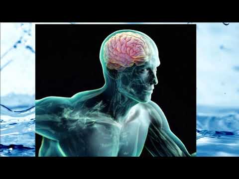 Consumul acestor alimente face minuni cu memoria Top 10 alimente sanatoase creierului