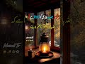 Shohar Jub Biwi Ko Rulata Hai Best Collection Of Husband Wife Youtubeshorts Naimaltv Foryou