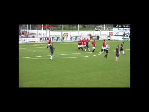 Samenvatting Rijnvogels - Haaglandia