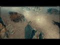 Coral Level Run Through