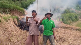 Download lagu Strategy battle mp3