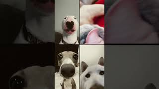 Download lagu October 20, 2024 mp3