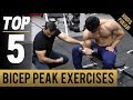 Top 5 BICEP PEAK Exercises! (Hindi / Punjabi)