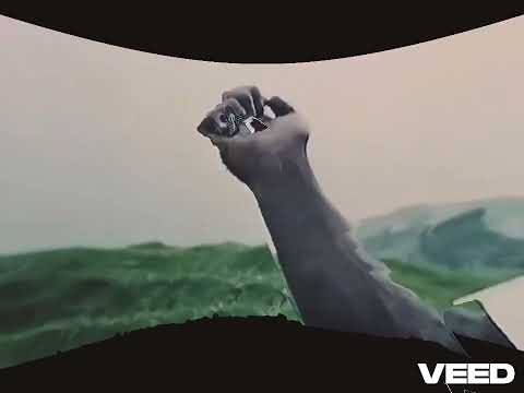 Poetiic Tiinqo - Fuck Nasty C ( Official Music Video )