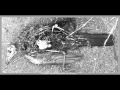 Phallus Dei - Dead Birds Floating 