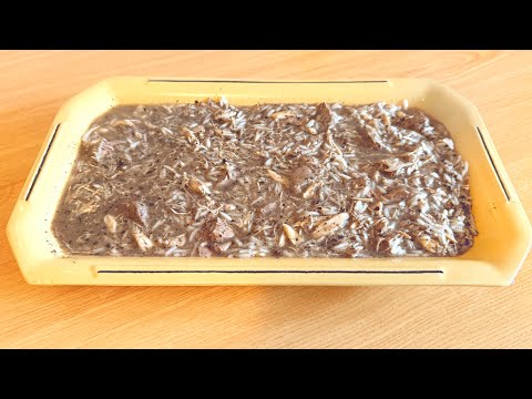 Como eu faço o arroz de sarrabulho