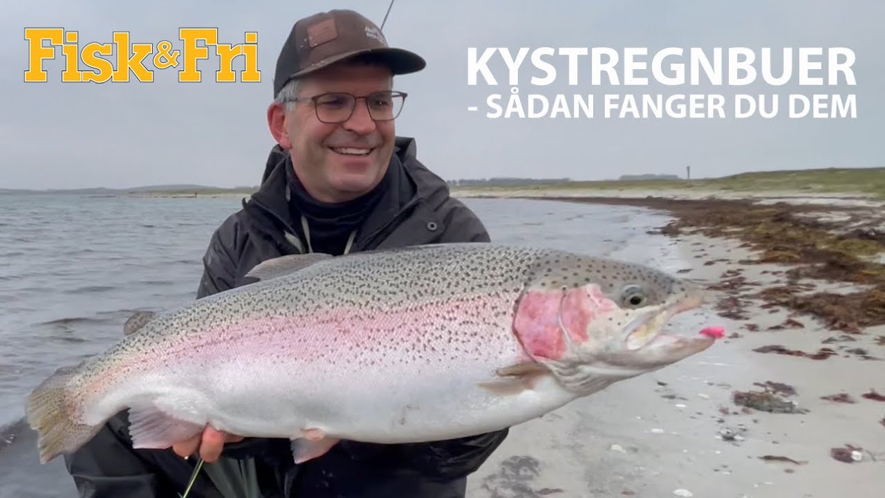 NY VIDEO: KYSTREGNBUER – SÅDAN FANGER DU DEM