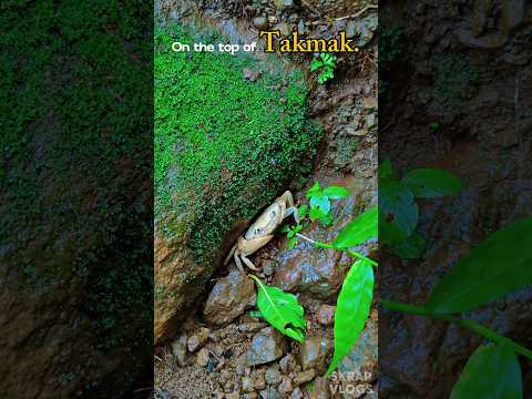 Exploring Takmak Fort | Hidden Gem of Maharashtra | Trekking Adventure Vlog