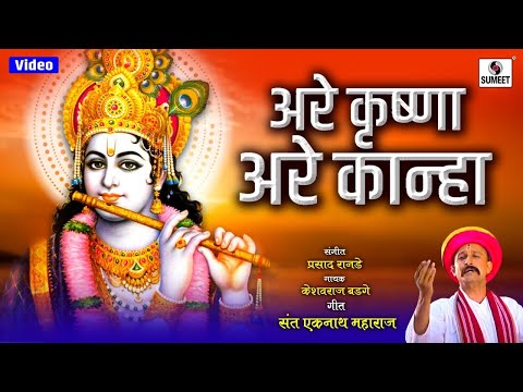अरे कृष्णा अरे कान्हा मनरंजन मोहना लिरिक्स -Are Krishna Are Kanha Manranjan Mohna Lyrics