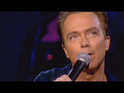 David Cassidy "Daydreamer"