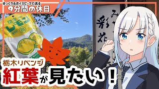【ゆっくり＆ボイピ車載】栃木紅葉リベンジ～前編＜9分間の休日＞