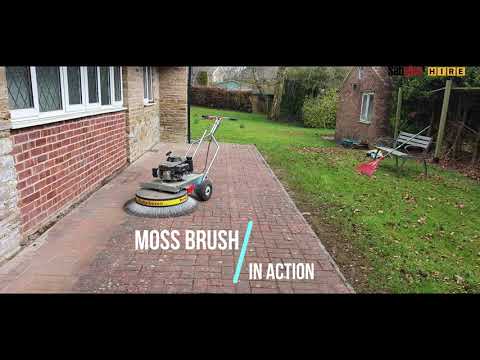 Westermann Power Moss/Weed Brush