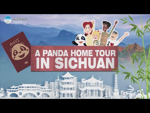 A #panda home tour in Sichuan