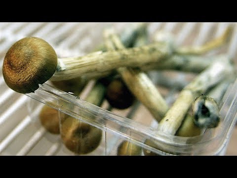 download lagu mp3 mp4 Decrim Ca, download lagu Decrim Ca gratis, unduh video klip Decrim Ca