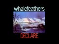 Whalefeathers Declare 1969 Full Album Rare American Psychedelic Rock Hidden Gem