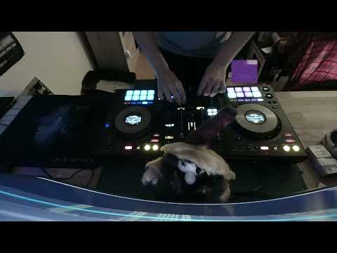 The Power of Frenchcore #19